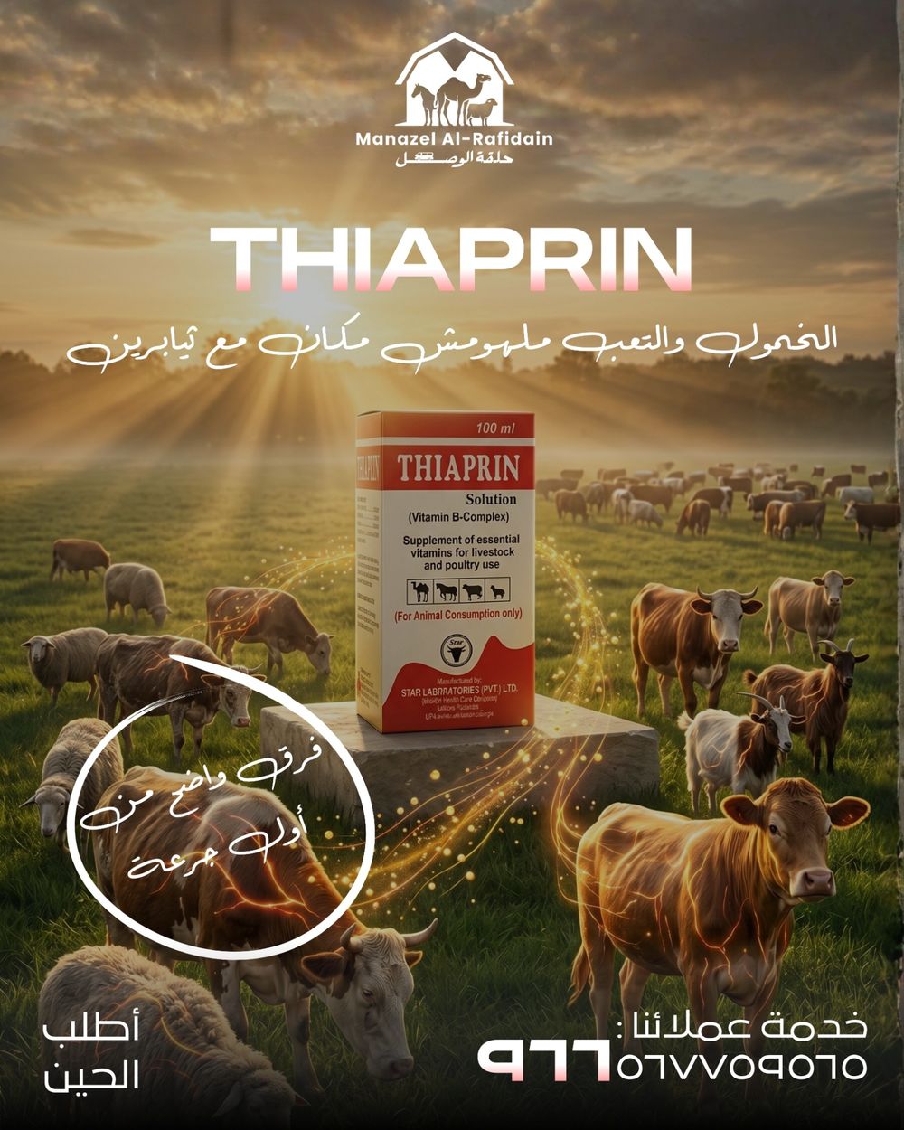 منتج بيطري